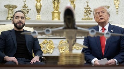 Salvado and American presidents, Nayib Bukele and Donald Trump, in the White House, in the United States, April 14, 2025. (Brendan Smialowski / AFP)