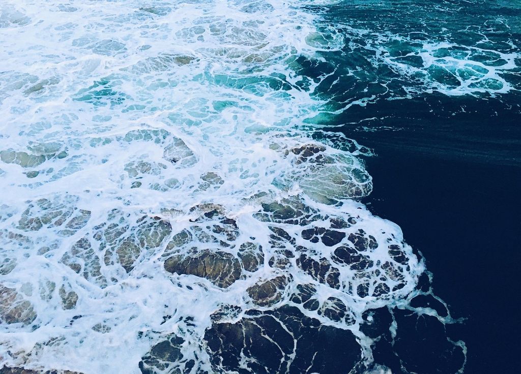 The peaceful ocean hides many secrets The peaceful ocean hides many secrets