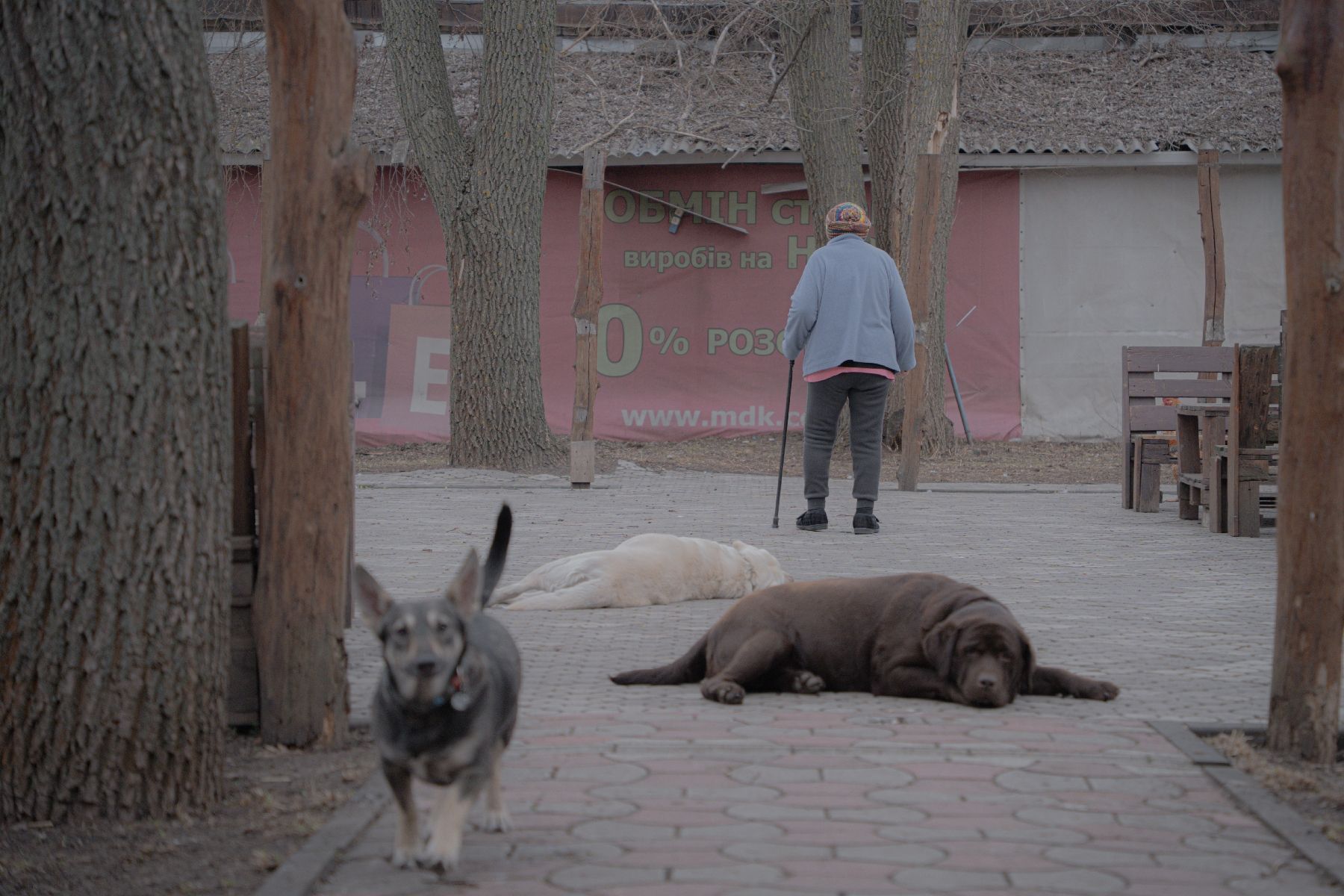 An elderly woman walks in the courtyard of a senior refuge in Kharkiv, Ukraine, March 26, 2025