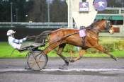 The photo of Jabiru Boy arrived PMU Prix de Juvignac à Vincennes