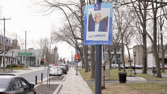 Electoral signs on lampposts near a commercial artery.