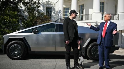 The President of the United States, Donald Trump, and the boss of Tesla, Elon Musk, on March 11, 2025, in Washington. (Mandel Ngan / AFP)