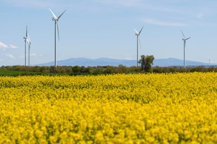 After the cut, experts in the sector wondered about a possible imbalance between production and electricity request, more difficult to correct without adequate technologies in a network where wind and solar weigh more (AFP / Cesar Manso)