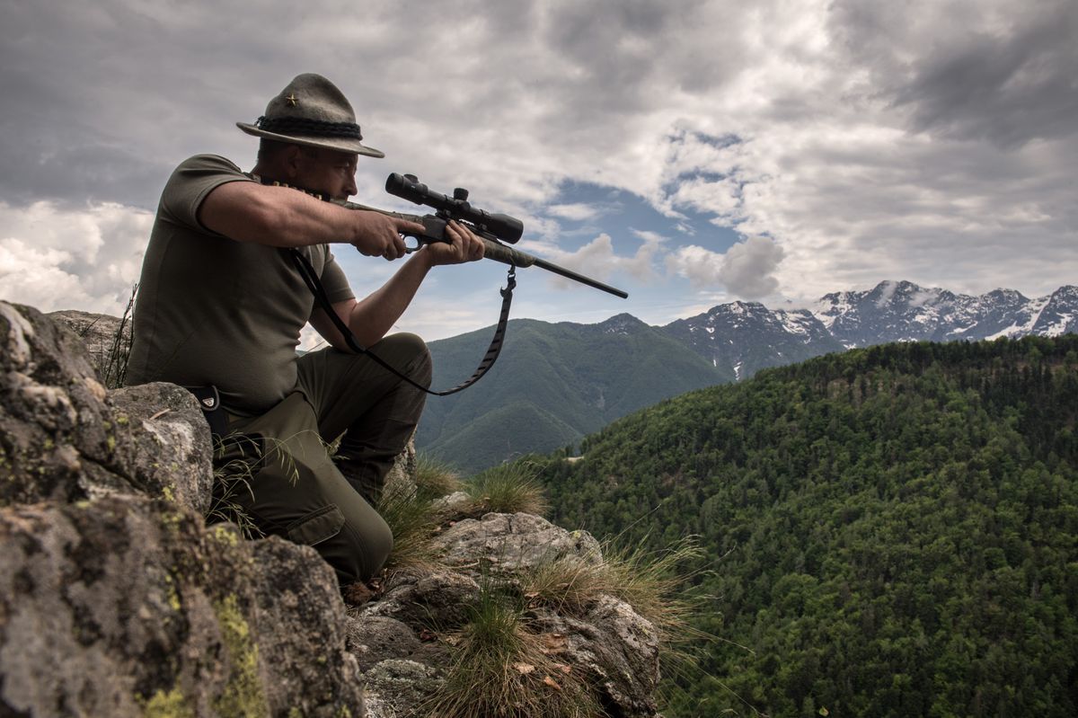 Jaeger Nenad R. observing in the hills of Comino, in the Nazional Parco del Locarnese, with mountains in the background, photographed on May 10, 2018 in the Centovalli valley. Jaeger Nenad R. observing in the hills of Comino, in the Nazional Parco del Locarnese, with mountains in the background, photographed on May 10, 2018 in the Centovalli valley.