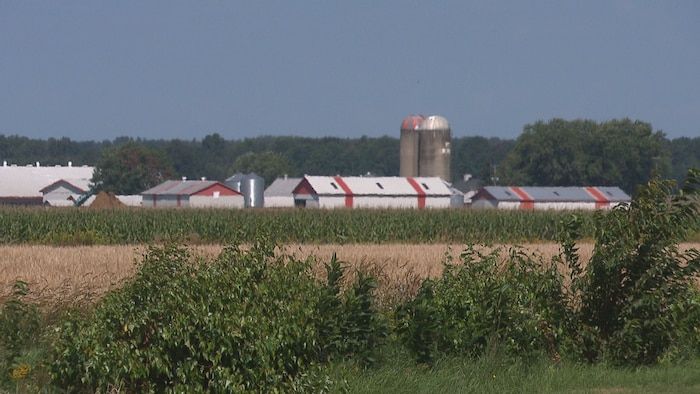 A farm, silos and fields in Sainte-Brigitte-des-Saut.