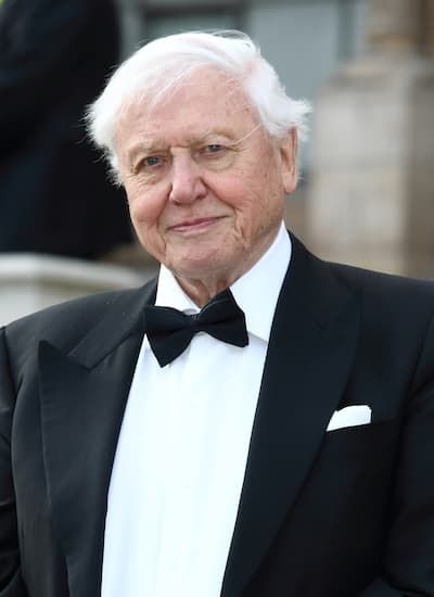 At the age of 99, David Participorough releases a new film on the oceans
