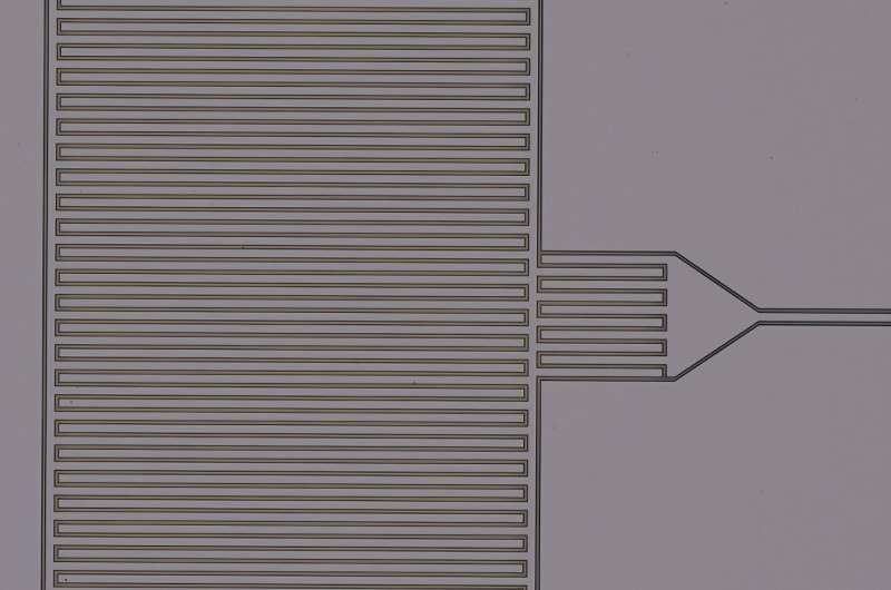A device image under optical microscope. A superconductive microwave resonator is moderate on the upper surface of a layer of niobium. A golden mirror is evaporated at the back for the collections of optical photons. Credit: XIE et al. A new microwave transducer with a rare ion microwave