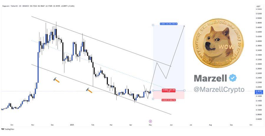 doge usd