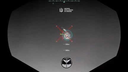 Ukrainian military intelligence posted a video of the attack on a Russian plane by its drone on Saturday May 3. (Screen capture / x)
