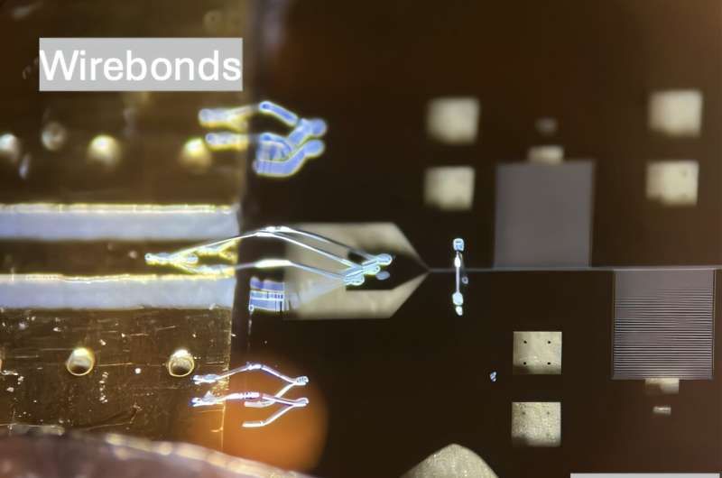Chips under optical microscope. The microwave signals are guided by the circuit card printed in the COPLANAIRE wave guide on chip via cables. Credit: XIE et al. A new microwave transducer with a rare ion microwave