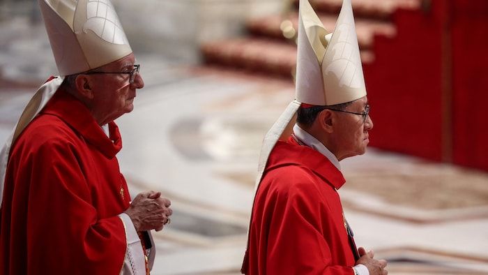 Two cardinals with hats.
