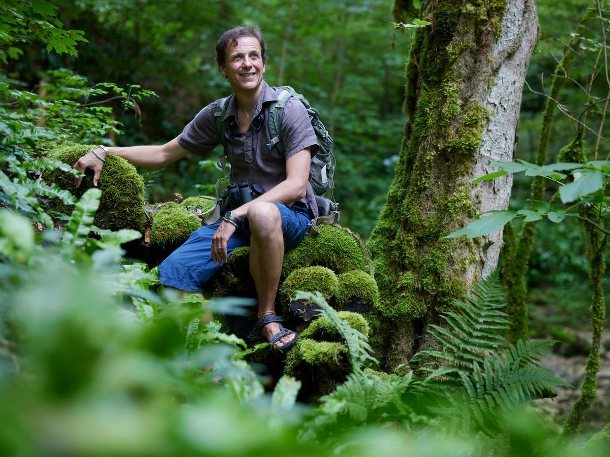 Julien Perrot, founder of La Salamandre, seated in a green forest in Vaumarcus, to celebrate the 40th anniversary of Nature magazine. Julien Perrot, founder of La Salamandre, seated in a green forest in Vaumarcus, to celebrate the 40th anniversary of Nature magazine.