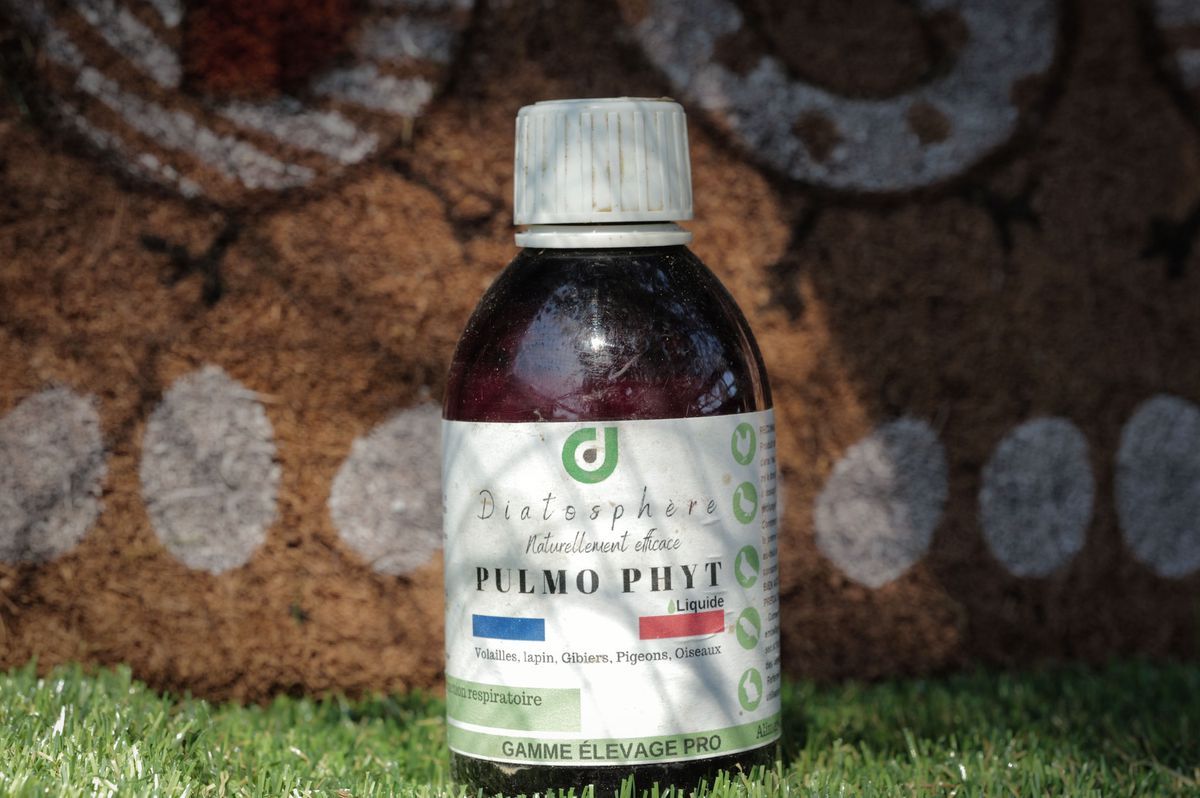 Bottle of liquid phyt pulmo placed on grass, Geneva, with visible details on the label. Bottle of liquid phyt pulmo placed on grass, Geneva, with visible details on the label.