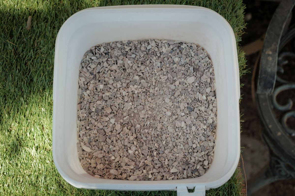 Oyster shells crushed in a plastic container, placed on grass in Geneva, during a meeting with Caroline Verneret. Oyster shells crushed in a plastic container, placed on grass in Geneva, during a meeting with Caroline Verneret.