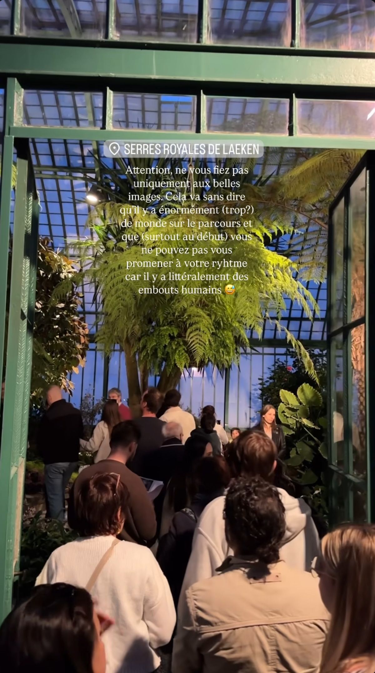 Story Instagram of the content creator, Justin Petit, during his visit to the Royal Serres in Laeken