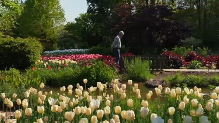 The painter André Van Beek travels the garden he himself designed. - TF1 screenshot