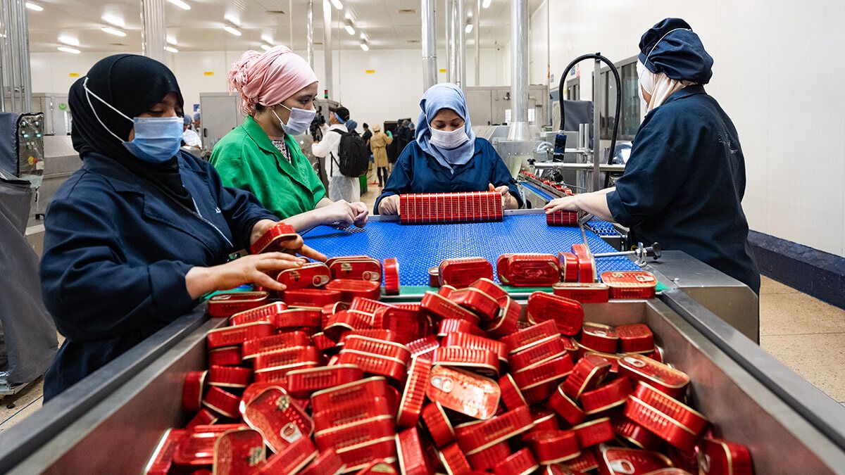 Images of the Workers of the Conservera Río de Oro, one of the most important in the country, in the city of Dajla, Morocco - Atalayar/Guillermo López