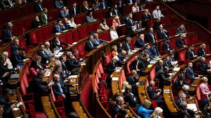 The hemicicle of the National Assembly, May 5, 2025 in Paris (TELMO PINTO / NURPHOT