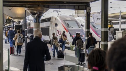 Illustration - A Gare de Lyon train, in Paris, April 24, 2025. (Vincent Isore / Maxppp)