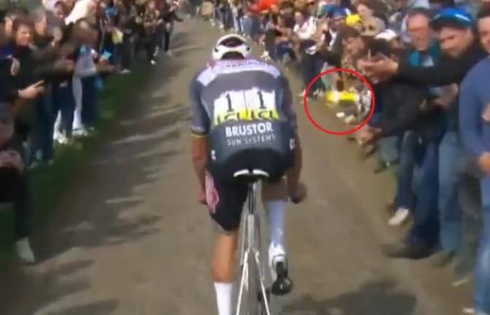 complaint from Alpecin, UCI offensive press release … The world of cycling takes action after the jet of a can in the face of Mathieu Van der Poel