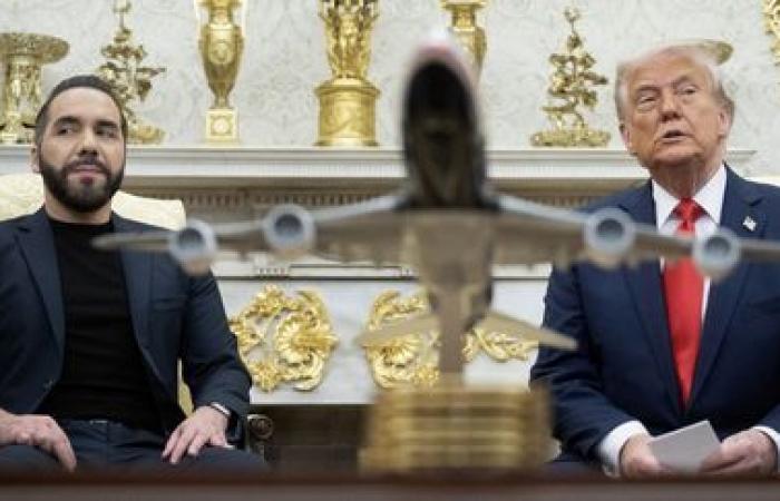Alongside Donald Trump, the president of the Salvador says he does not have the “power” to send back an expelled migrant from the United States