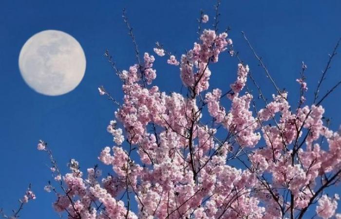 When the sky sees life in pink