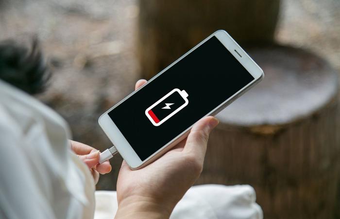Fast load or large battery? What phone should be preferred?