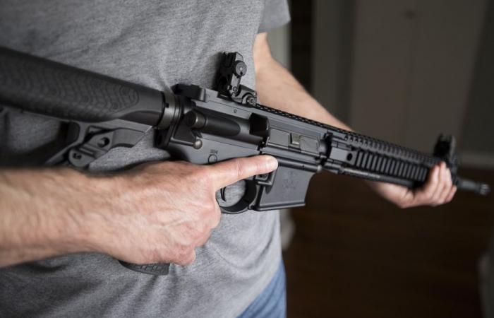 The Federal Court of Appeal rejects a challenge to the prohibition of firearms