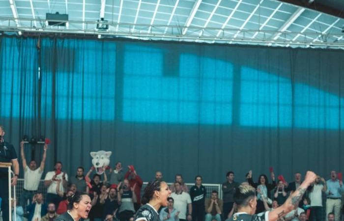 The louves of Saint-Dié reach the Saforelle Power 6, a summit of the French female volleyball!