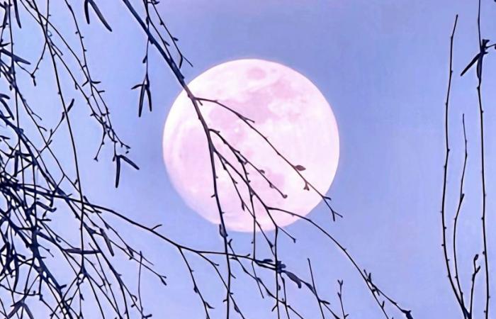 When the sky sees life in pink