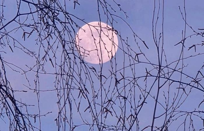 When the sky sees life in pink