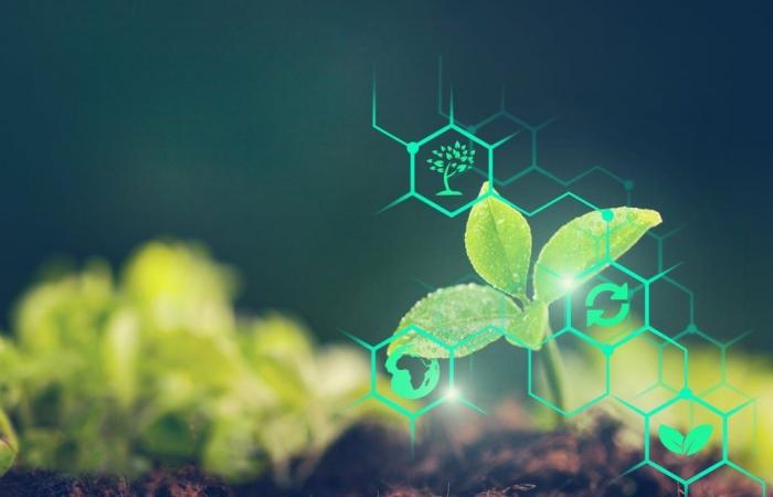 Agri-Tech Tunisia returns to Dakar: Tunisia on a technological mission in Senegal