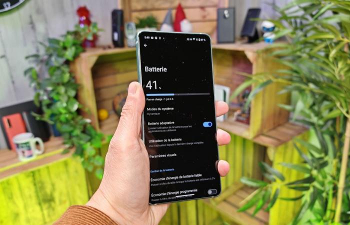Fast load or large battery? What phone should be preferred?