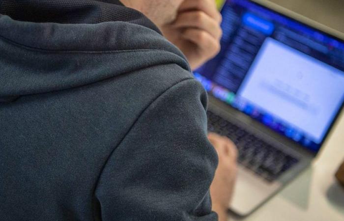News and dictates of the day: very disturbing trend: online scams explode in Switzerland