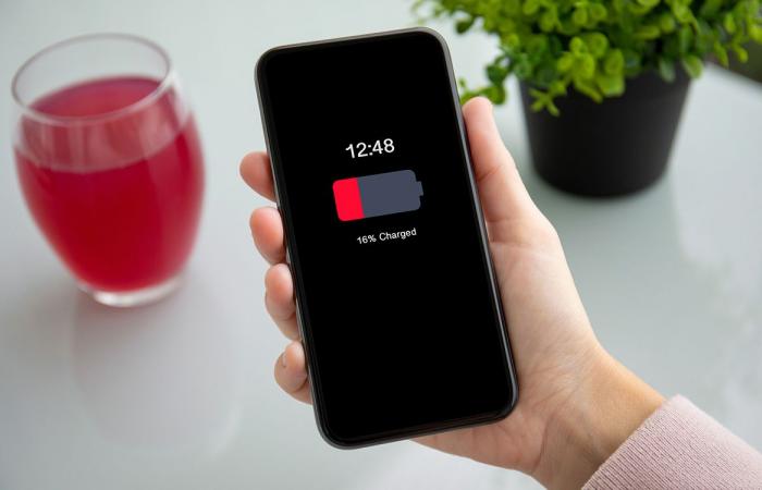 Fast load or large battery? What phone should be preferred?