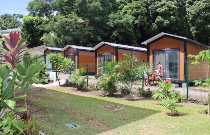 Inauguration of first six “tere houses” intended for homeless in training • TNTV Tahiti Nui Television