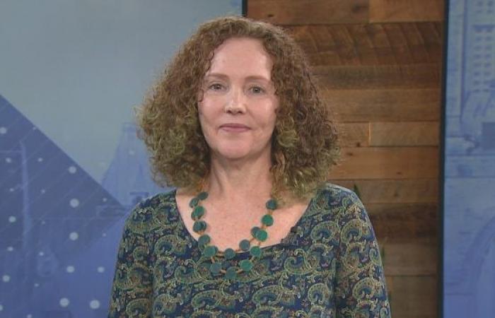 Debate of regional candidates: four visions of Quebec clash