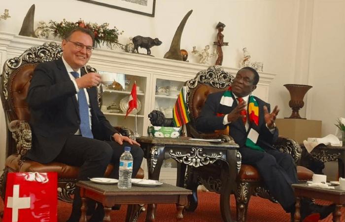 A French -speaking ambassador helped Zimbabwe abolish the death penalty