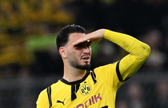 Outstanding as a BVB-Mutmacher-Kehl demand to the team | Haller Kreisblatt