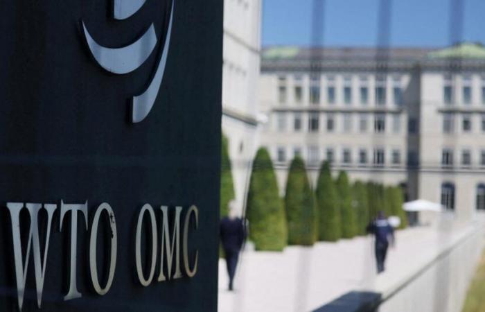 Trump’s customs policy could make the world trade back up 1.5%, according to the WTO