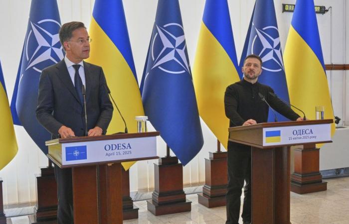 War in Ukraine: negotiations on the truce “are not easy”, says the NATO chief