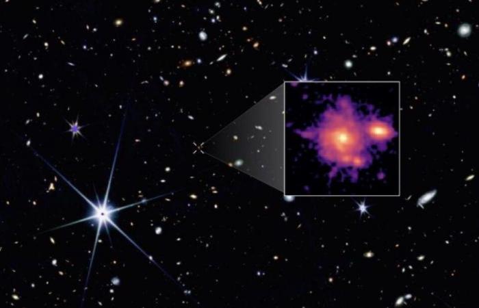 Discovery of a distant cousin of the Milky Way