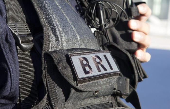 A figure of organized crime, suspected of having robbed two banks to import cocaine, arrested in Val-de-Marne