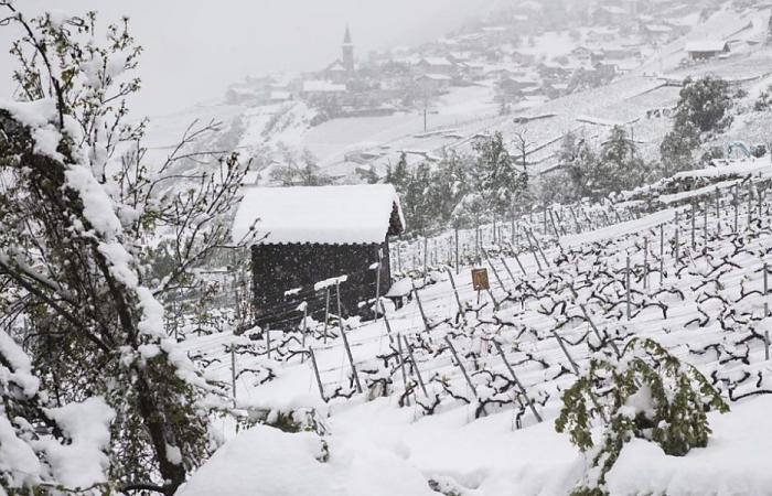 Bad weather: if the storm has passed, the prudence remains