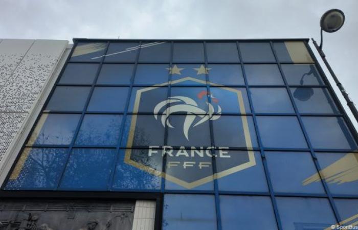 Soccer. The French team will play at the Parc des Princes – Sportbusiness.Club