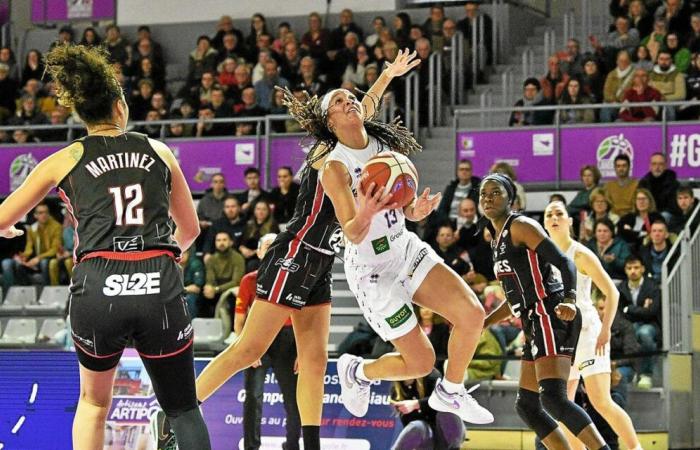 Female League: The Landerneau BB can already take shelter against Roche Vendée