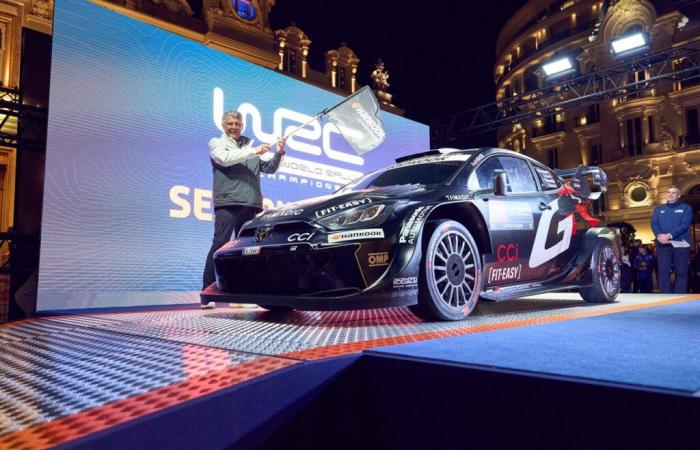 Why do manufacturers still bet on sports sport?