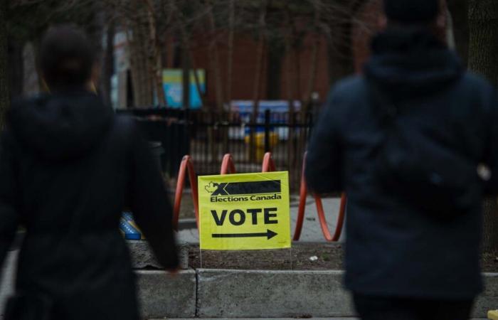 2025 federal elections: live results