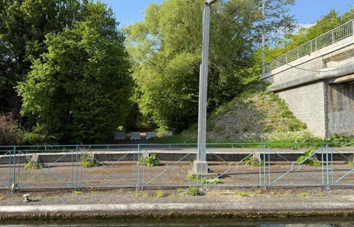 An abandoned baby discovered by a passerby, the police launch a call to witnesses