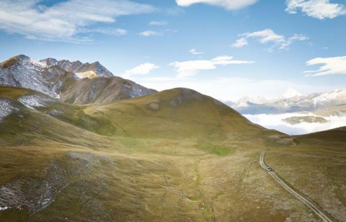 Libertélish! – Porsche Newsroom Ch